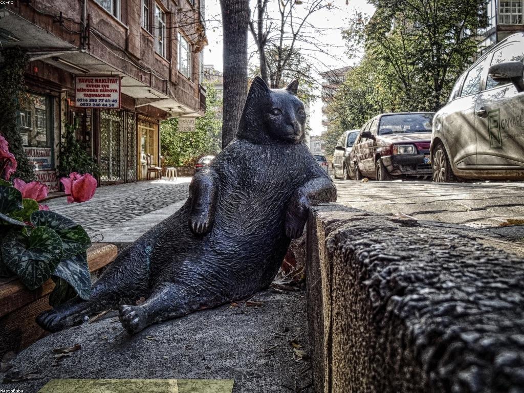 ការប្រៀបធៀបការបង្ហាញកាស៊ីណូ