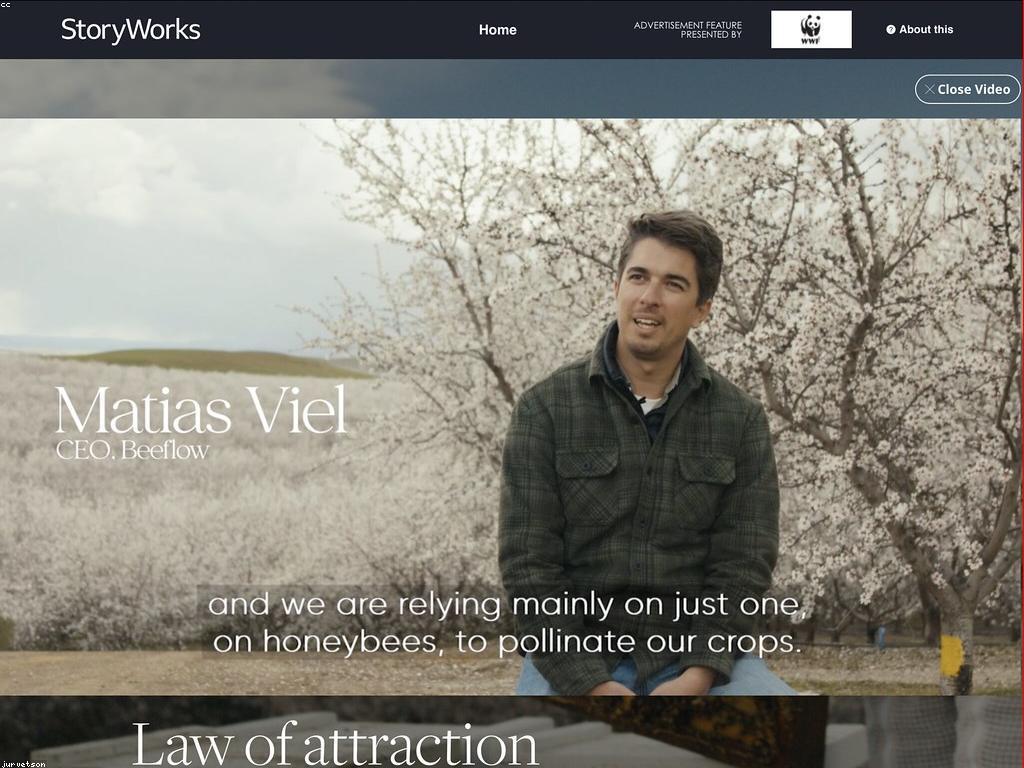 ទីផ្សារនៃការបង្ហាញកាស៊ីណូ